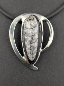 Orthoceras Kettenanhänger