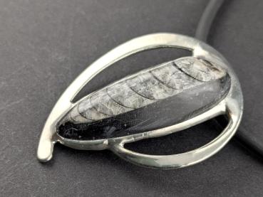 Preview: Orthoceras Kettenanhänger