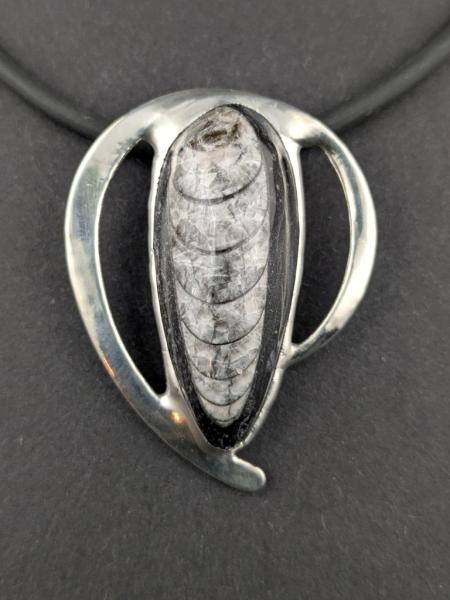 Orthoceras Kettenanhänger