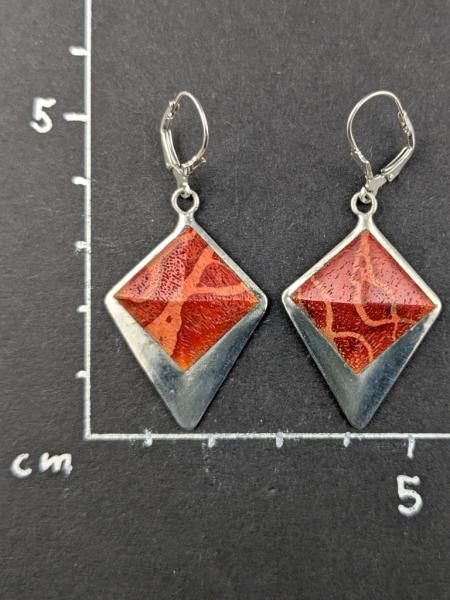 Schaumkoralle Ohrhänger